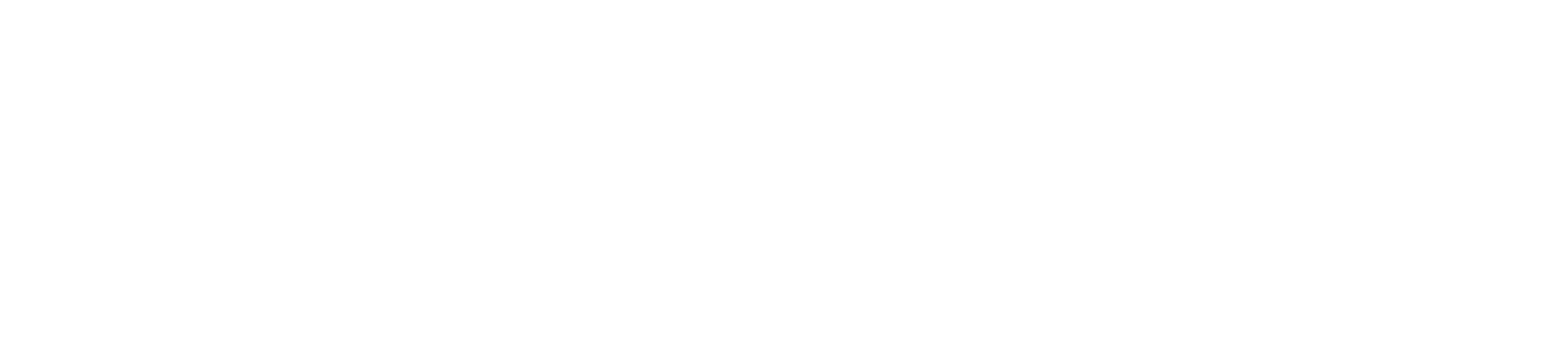 N-Performance